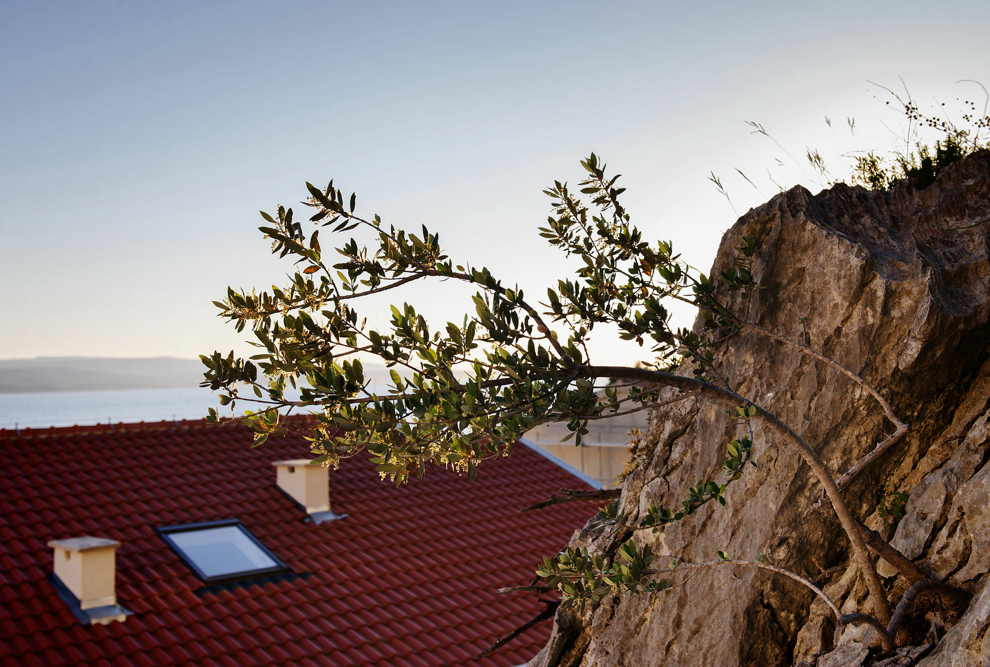 Villa Palloma Baska Voda Exterior photo